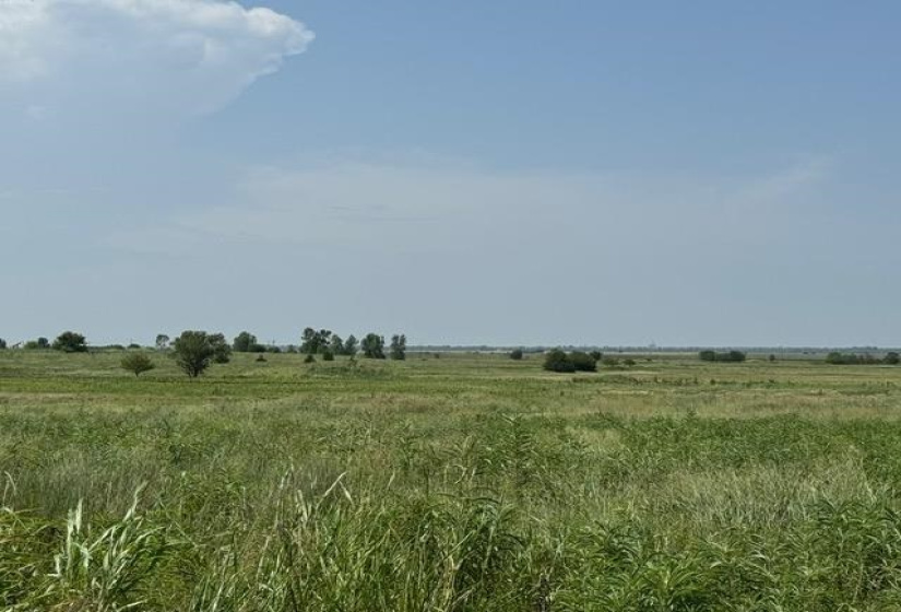 0 , 0 ,0,Lots/land,Unplatted,County Line,0,132610