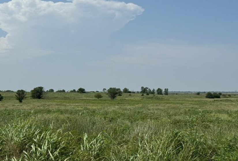 0 , 0 ,0,Lots/land,Unplatted,County Line,0,132610