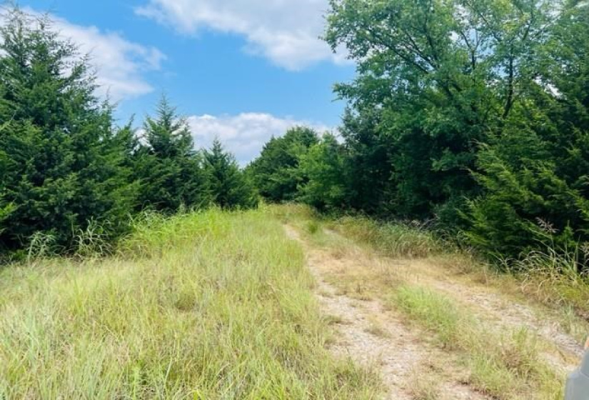 0 , 0 ,0,Lots/land,Unplatted,Lakeview,0,132652