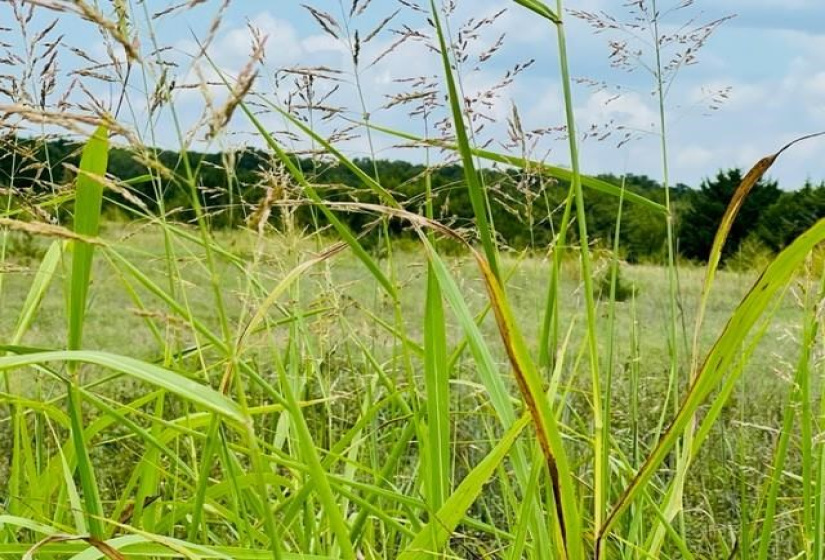 0 , 0 ,0,Lots/land,Unplatted,Lakeview,0,132652