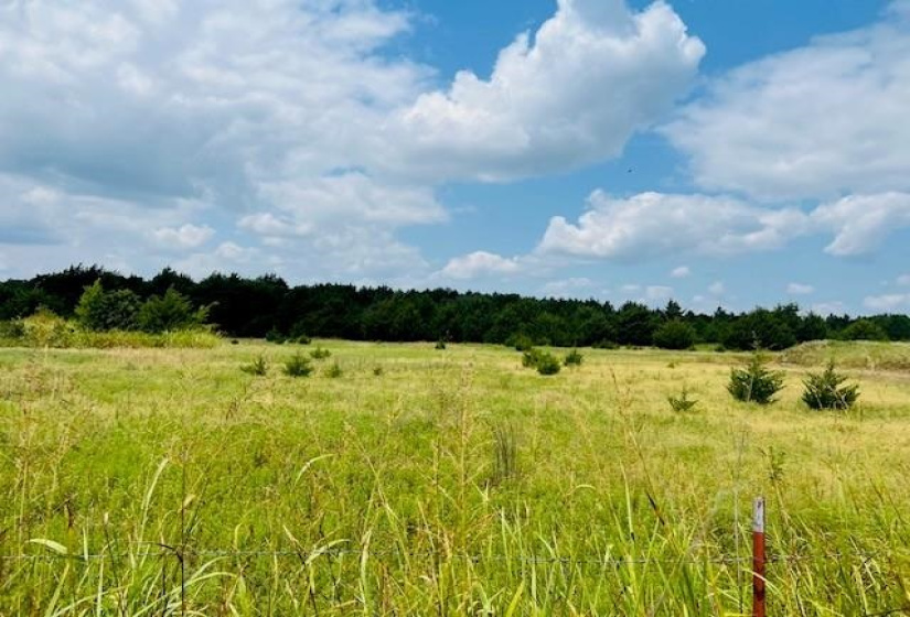 0 , 0 ,0,Lots/land,Unplatted,Lakeview,0,132652