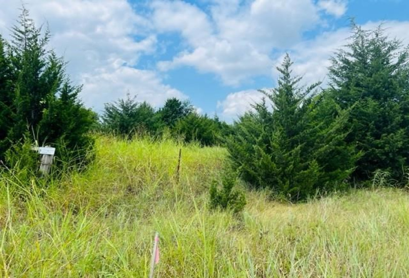 0 , 0 ,0,Lots/land,Unplatted,Lakeview,0,132652