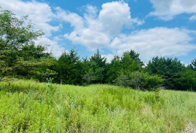 0 , 0 ,0,Lots/land,Unplatted,Lakeview,0,132652