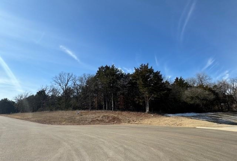 0 , 0 ,0,Lots/land,Platted,Autumn,0,132701