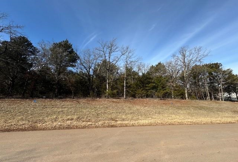 0 , 0 ,0,Lots/land,Platted,Autumn,0,132701