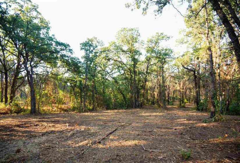 0 , 0 ,0,Lots/land,Platted,Coventry,0,132704