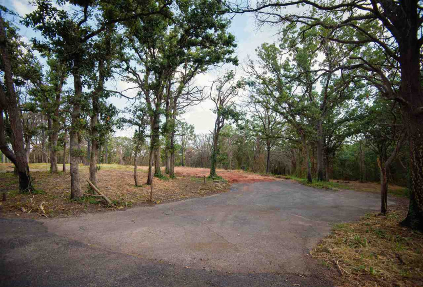 0 , 0 ,0,Lots/land,Platted,Coventry,0,132704