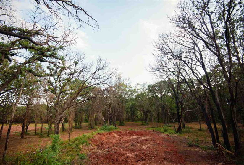0 , 0 ,0,Lots/land,Platted,Coventry,0,132704