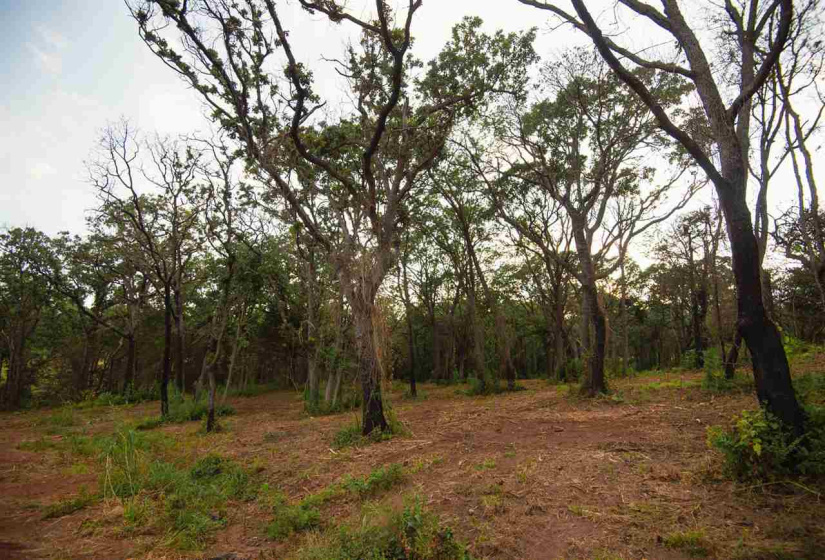 0 , 0 ,0,Lots/land,Platted,Coventry,0,132704