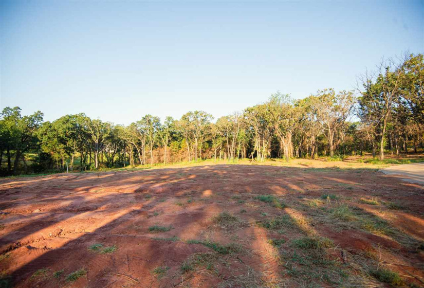 0 , 0 ,0,Lots/land,Platted,Coventry,0,132705