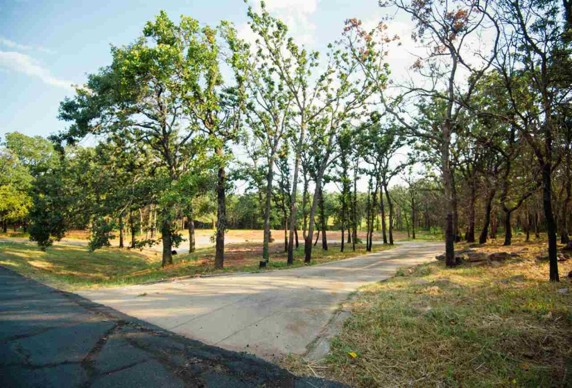 0 , 0 ,0,Lots/land,Platted,Coventry,0,132705