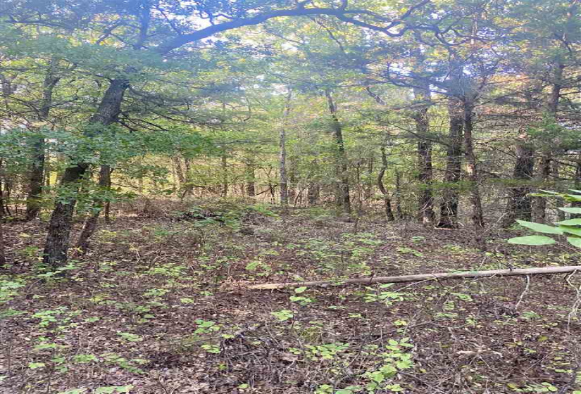 0 , 0 ,0,Lots/land,Ranch/farm,44th,0,132816
