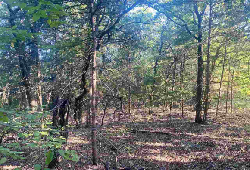 0 , 0 ,0,Lots/land,Ranch/farm,44th,0,132816
