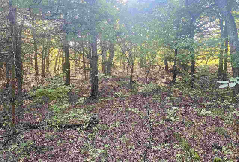 0 , 0 ,0,Lots/land,Ranch/farm,44th,0,132816