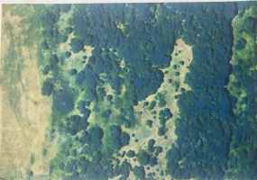 0 , 0 ,0,Lots/land,Ranch/farm,44th,0,132816