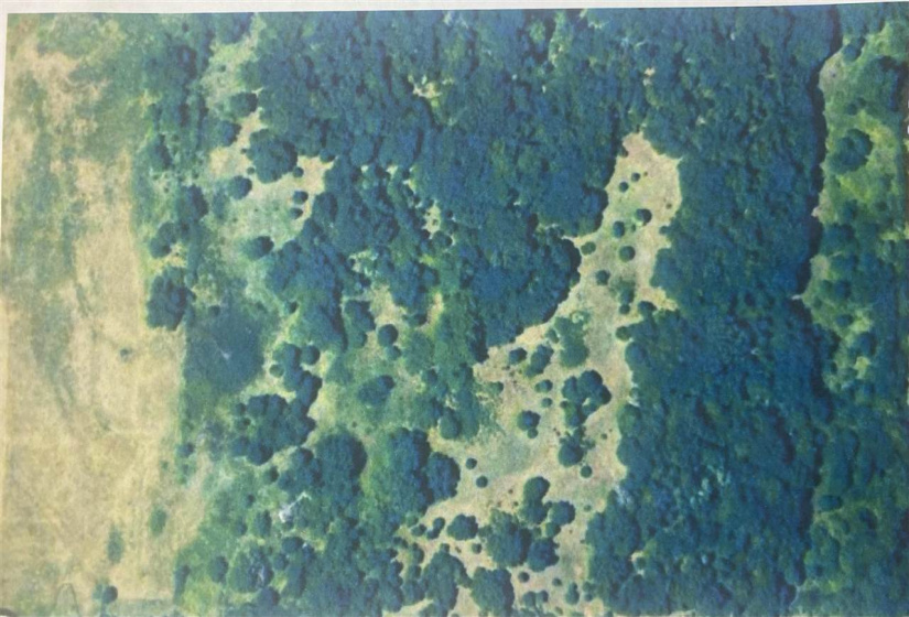 0 , 0 ,0,Lots/land,Ranch/farm,44th,0,132816
