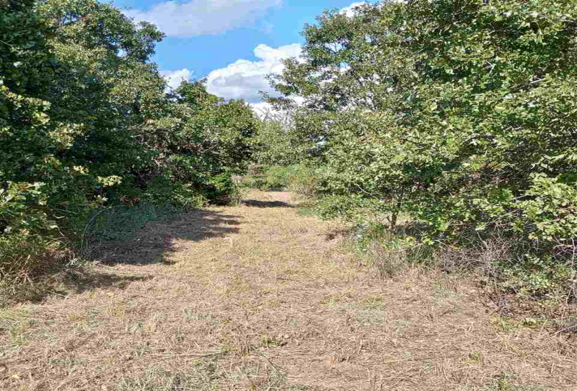 0 , 0 ,0,Lots/land,Ranch/farm,44th,0,132816