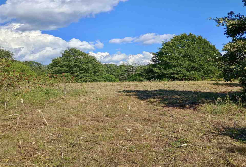 0 , 0 ,0,Lots/land,Ranch/farm,44th,0,132816