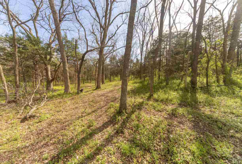 3 Bedrooms Bedrooms, 0 ,3 BathroomsBathrooms,Residential,Single Family,Amanda,1,132826