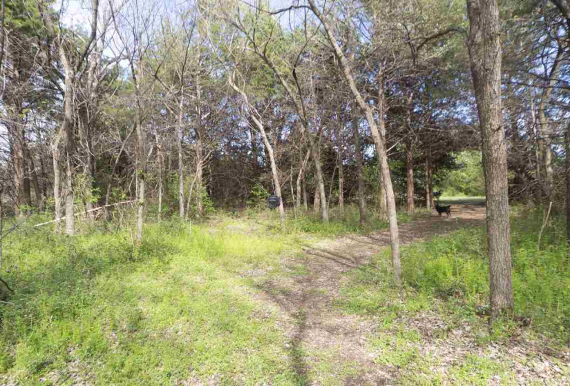 3 Bedrooms Bedrooms, 0 ,3 BathroomsBathrooms,Residential,Single Family,Amanda,1,132826
