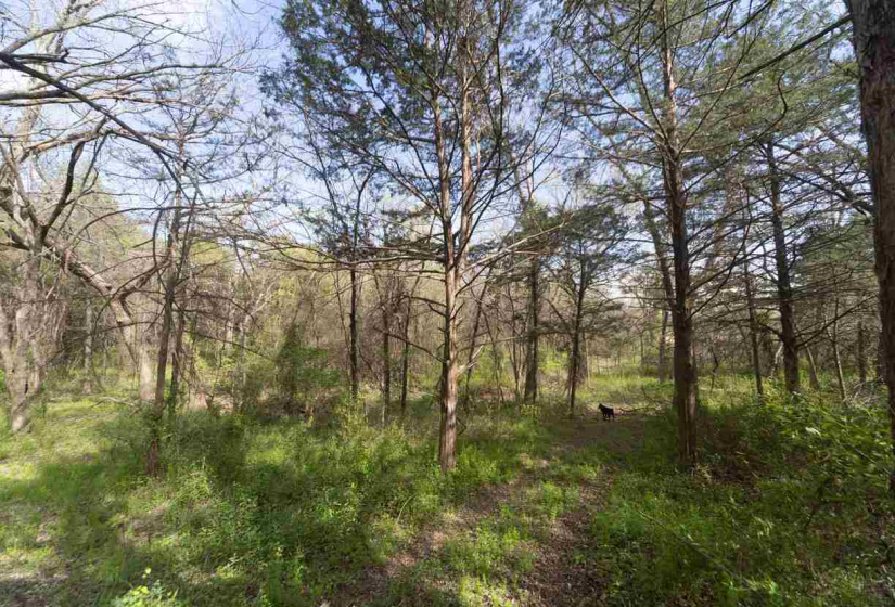 3 Bedrooms Bedrooms, 0 ,3 BathroomsBathrooms,Residential,Single Family,Amanda,1,132826