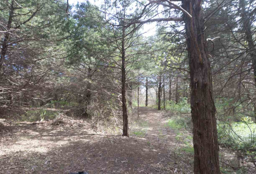 3 Bedrooms Bedrooms, 0 ,3 BathroomsBathrooms,Residential,Single Family,Amanda,1,132826