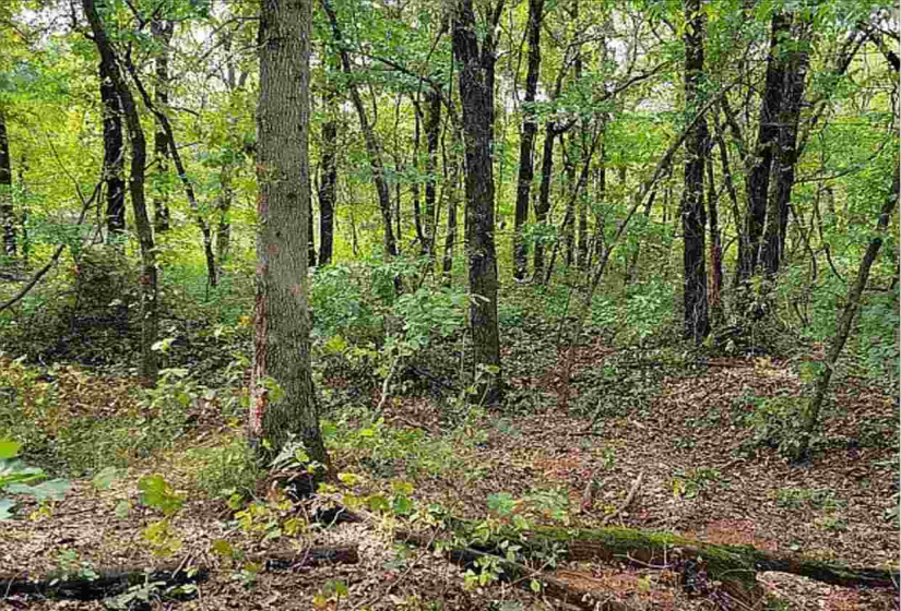 0 , 0 ,0,Lots/land,Ranch/farm,Luther,0,132900