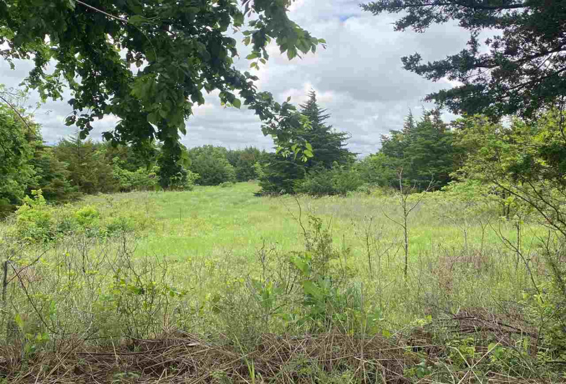 1 Bedroom Bedrooms, 0 ,1 BathroomBathrooms,Residential,Single Family,6th,1,132981