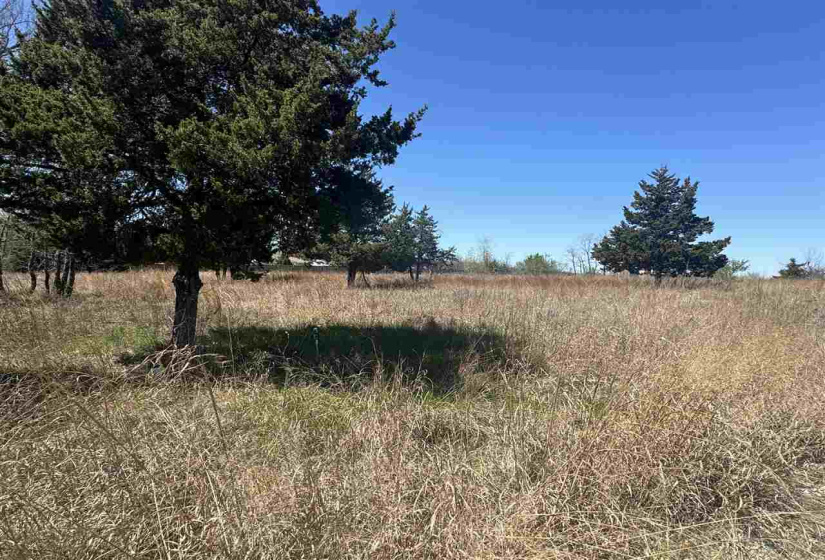 1 Bedroom Bedrooms, 0 ,1 BathroomBathrooms,Residential,Single Family,6th,1,132981