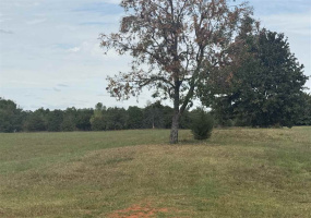 0 , 0 ,0,Lots/land,Unplatted,116th,0,132994