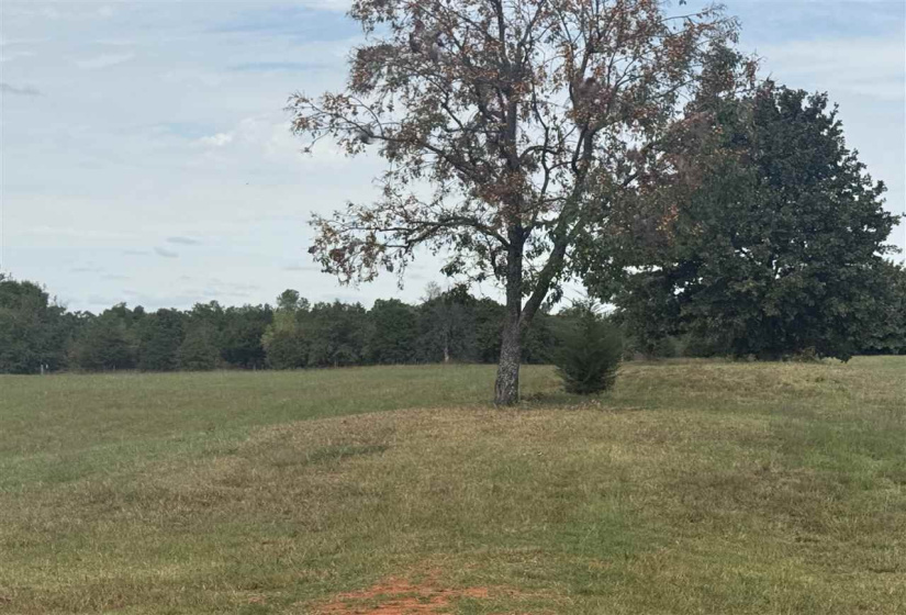 0 , 0 ,0,Lots/land,Unplatted,116th,0,132994