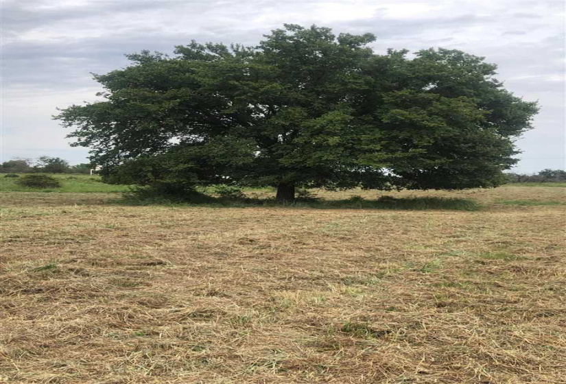 0 , 0 ,0,Lots/land,Unplatted,Hummingbird,0,132999