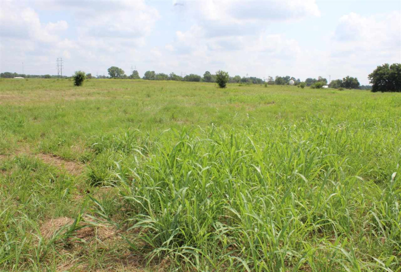 0 , 0 ,0,Lots/land,Unplatted,Hummingbird,0,132999