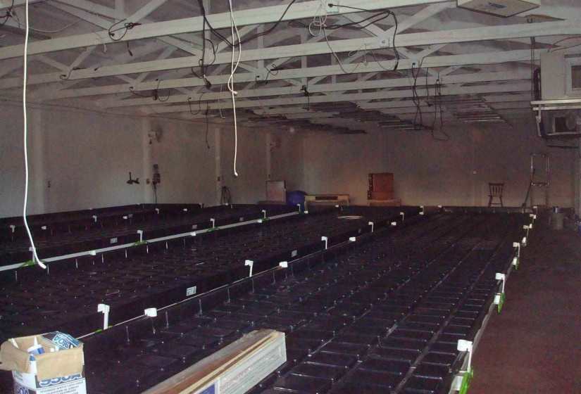 3 Bedrooms Bedrooms, 0 ,1 BathroomBathrooms,Residential,Single Family,Rose Rd,1,133040