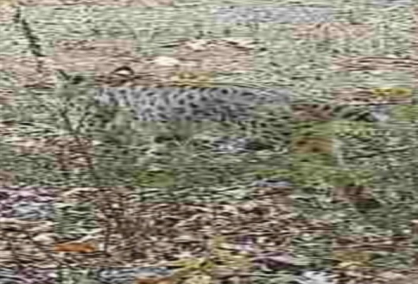 0 , 0 ,0,Lots/land,Platted,6th,0,133182