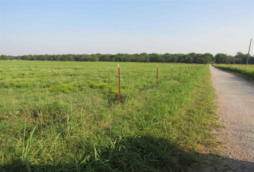 Lots/land,Ranch/farm,4450,128352