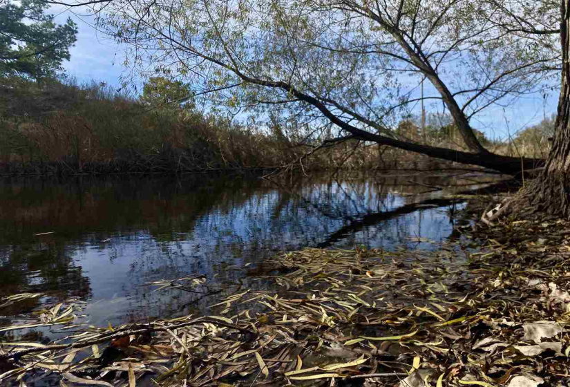 1 Bedroom Bedrooms, 0 ,1 BathroomBathrooms,Residential,Single Family,Maple,1,133210