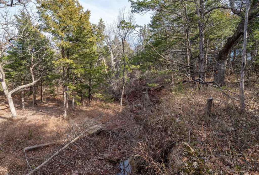 0 , 0 ,0,Lots/land,Unplatted,80th,0,133217