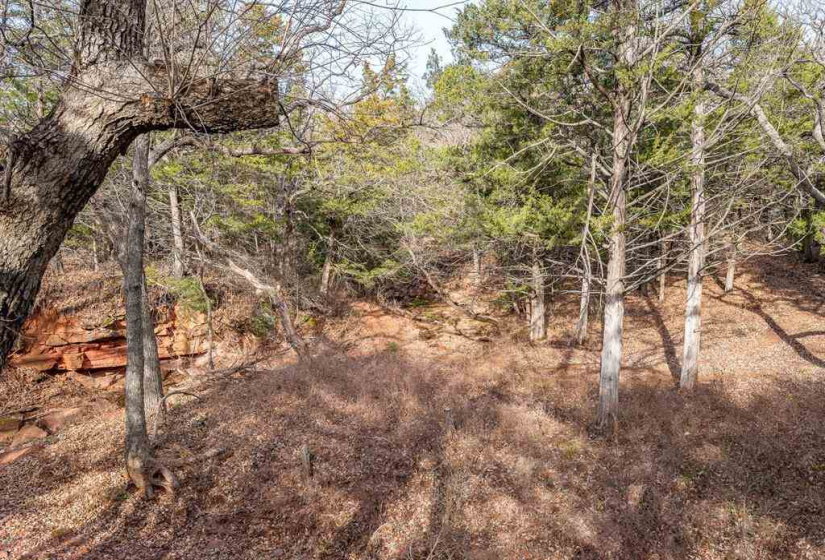 0 , 0 ,0,Lots/land,Unplatted,80th,0,133217