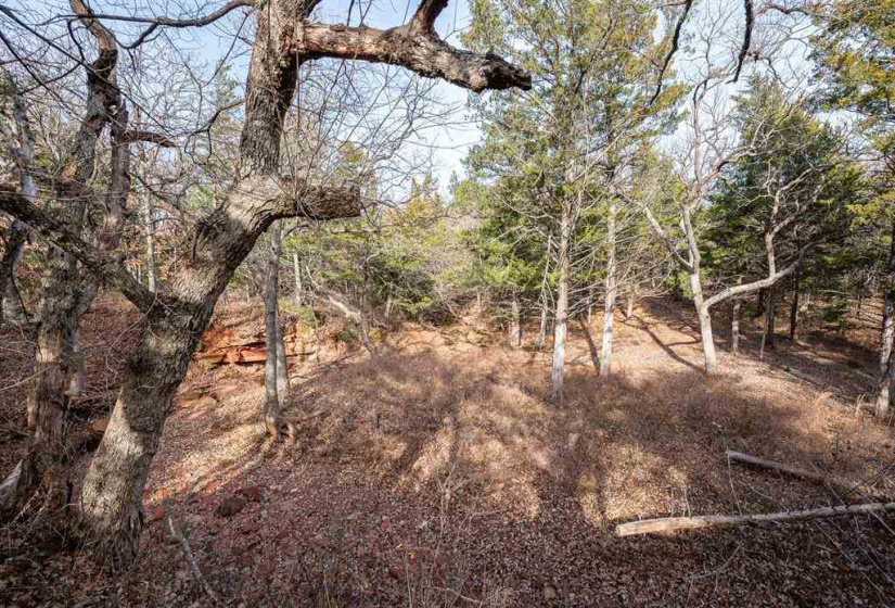 0 , 0 ,0,Lots/land,Unplatted,80th,0,133217