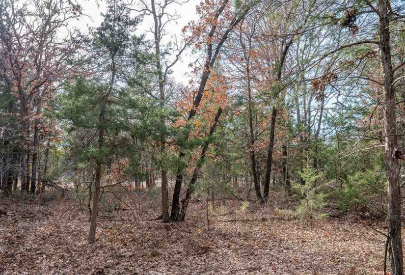 0 , 0 ,0,Lots/land,Unplatted,80th,0,133217