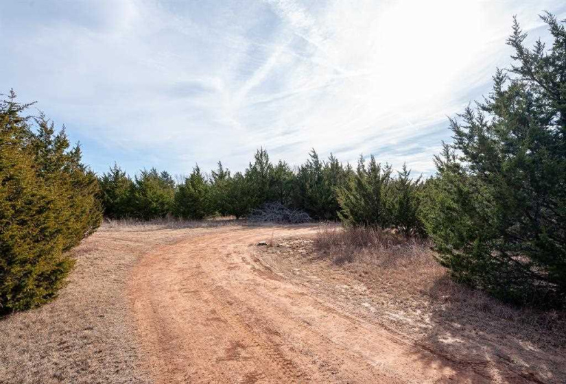 0 , 0 ,0,Lots/land,Unplatted,80th,0,133217