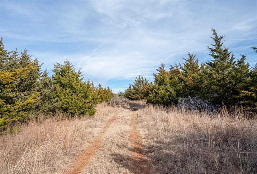 0 , 0 ,0,Lots/land,Unplatted,80th,0,133217