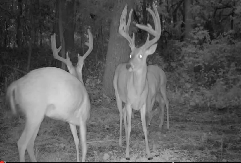 0 , 0 ,0,Lots/land,Unplatted,80th,0,133217