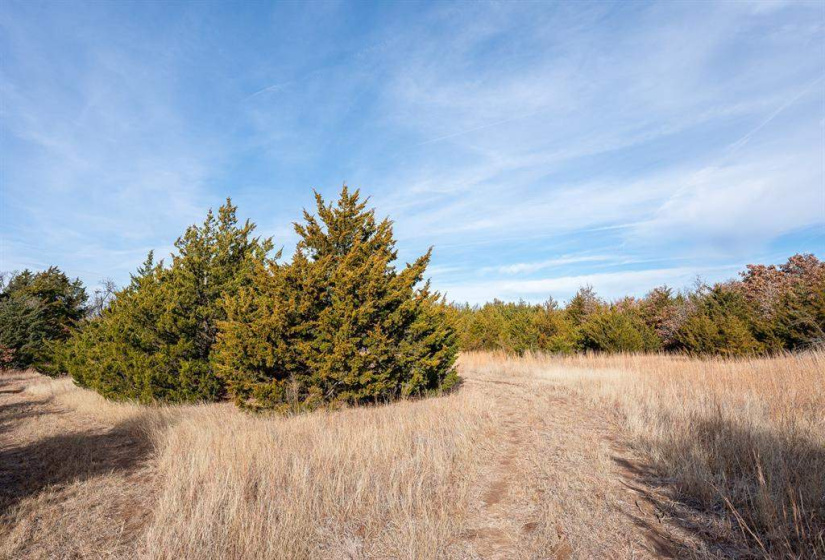 0 , 0 ,0,Lots/land,Unplatted,80th,0,133217