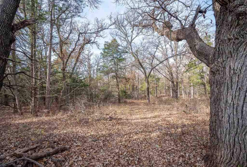 0 , 0 ,0,Lots/land,Unplatted,80th,0,133217