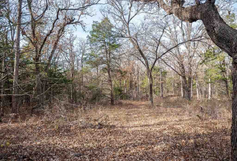 0 , 0 ,0,Lots/land,Unplatted,80th,0,133217