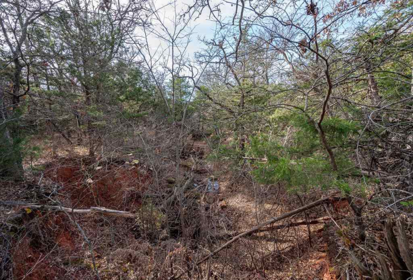 0 , 0 ,0,Lots/land,Unplatted,80th,0,133217