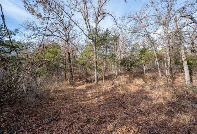 0 , 0 ,0,Lots/land,Unplatted,80th,0,133217