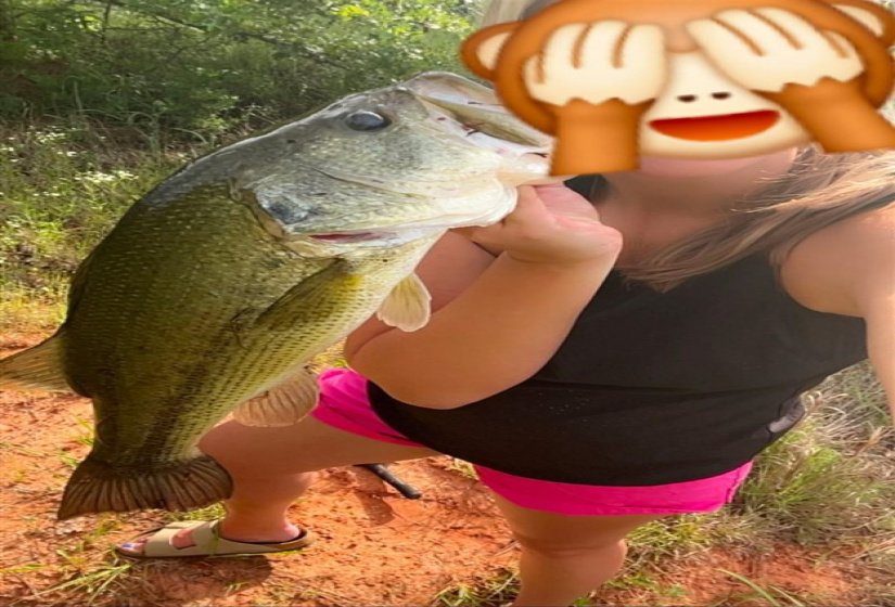 4 Bedrooms Bedrooms, 0 ,2 BathroomsBathrooms,Residential,Single Family,750,1,133232